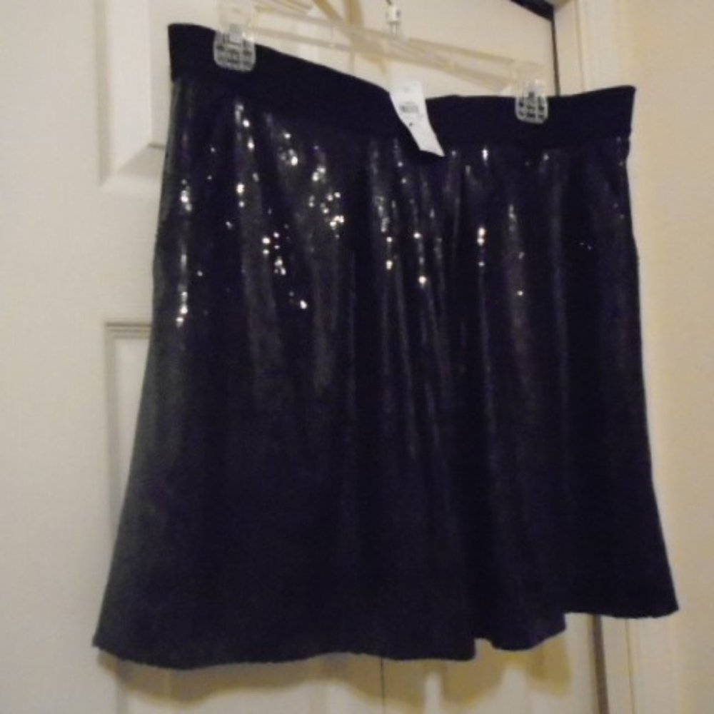 SOLDNWT Ann Taylor Loft  Sequin Skirt Size 12